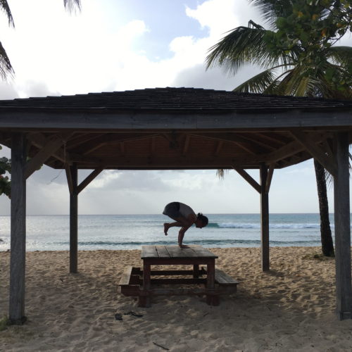 Kakasana sous les cocotiers