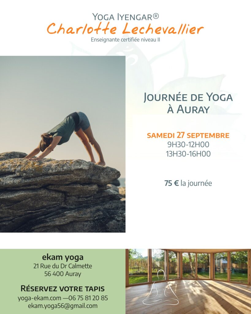 Description ci-dessous