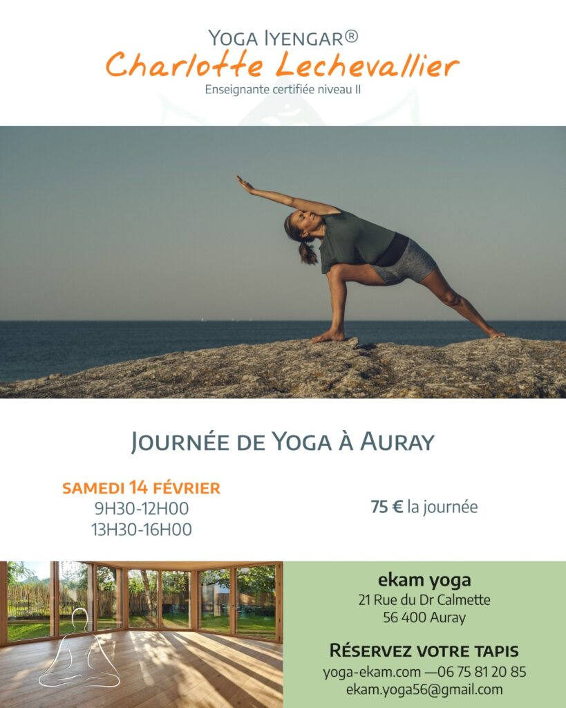 Description ci-dessous