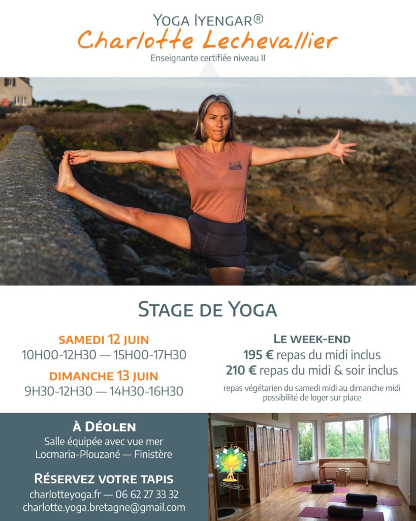 Description ci-dessous